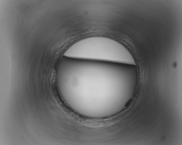 X0000115770029200911131031