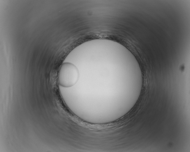 X0000115770030200911131031