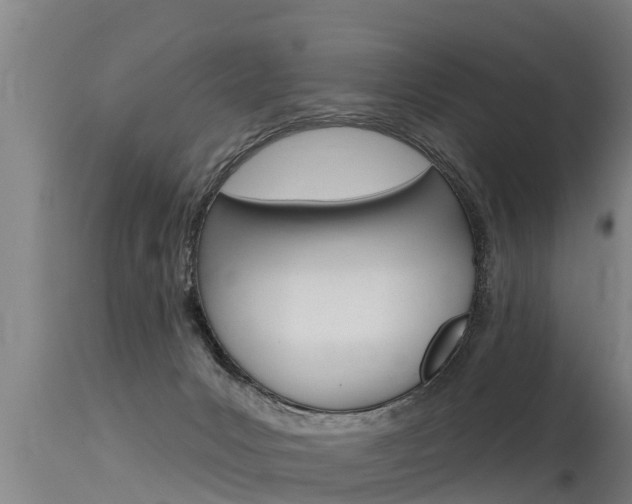X0000115770031200911131031