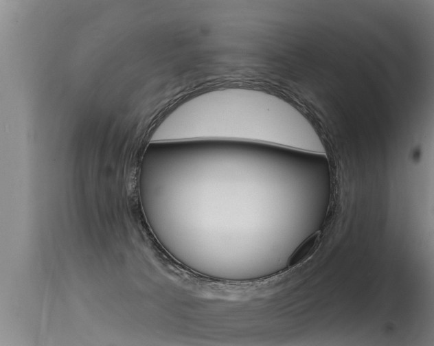 X0000115770033200911131031