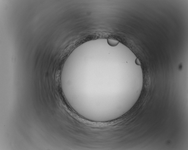 X0000115770034200911131031