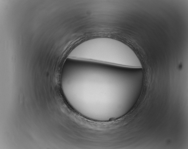 X0000115770035200911131031
