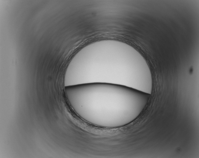 X0000115770036200911131031