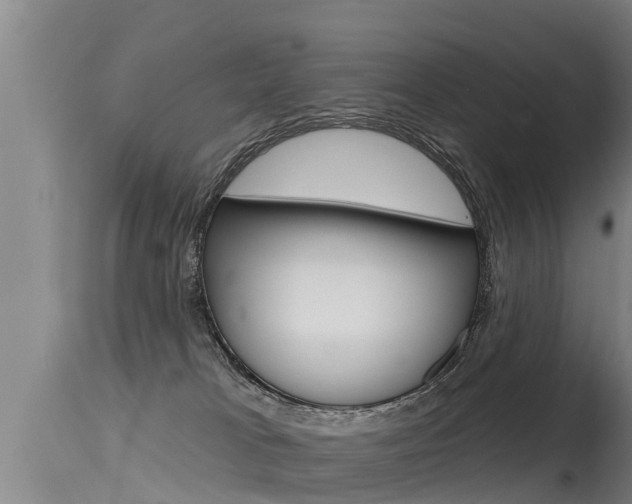 X0000115770037200911131031