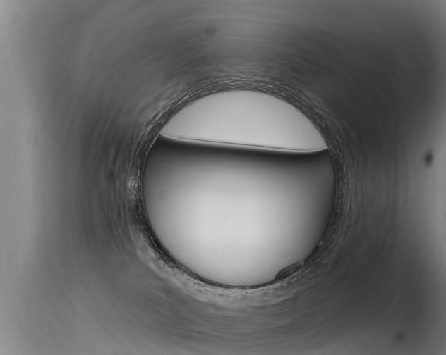 X0000115770039200911131031