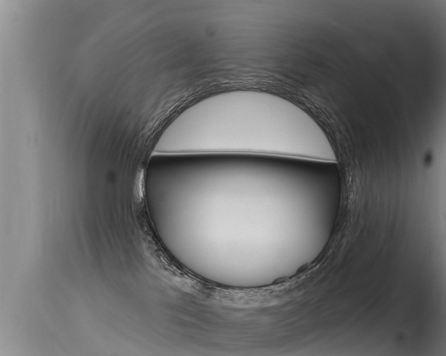 X0000115770041200911131031