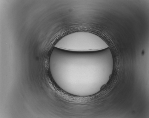 X0000115770044200911131031