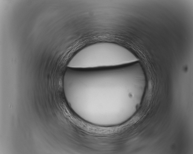 X0000115770048200911131031