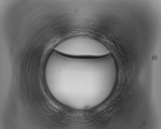 X0000115770049200911131030