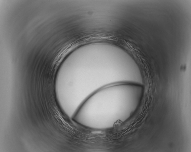 X0000115770050200911131030