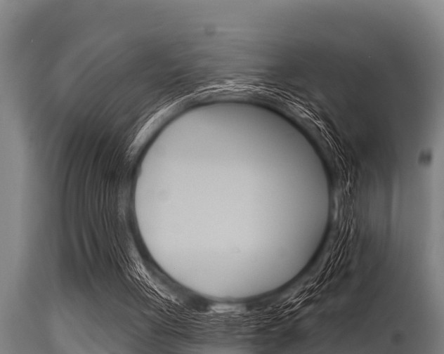 X0000115770051200911131030