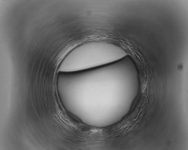 X0000115770052200911131030