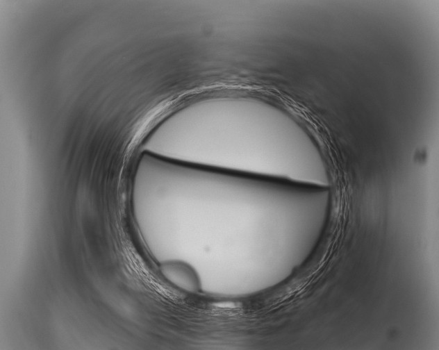X0000115770053200911131030