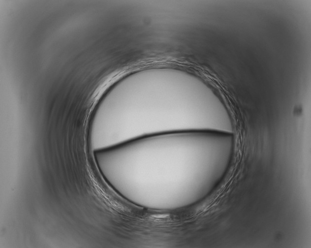 X0000115770054200911131030