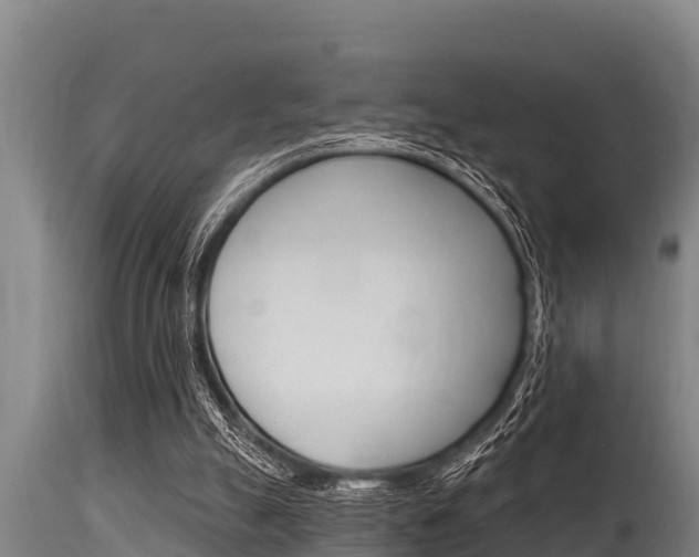 X0000115770055200911131030