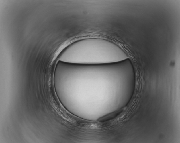 X0000115770056200911131030