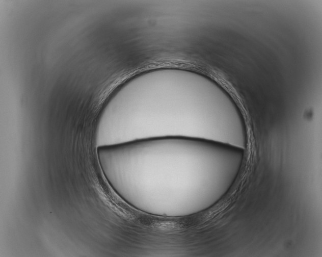 X0000115770058200911131030