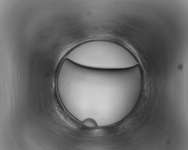 X0000115770059200911131030