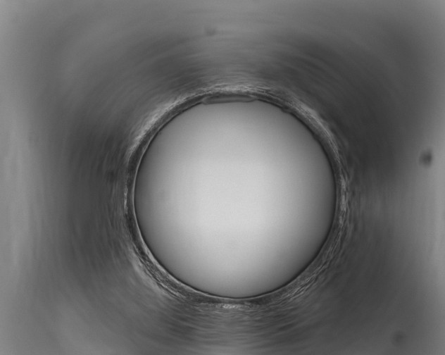 X0000115770060200911131030