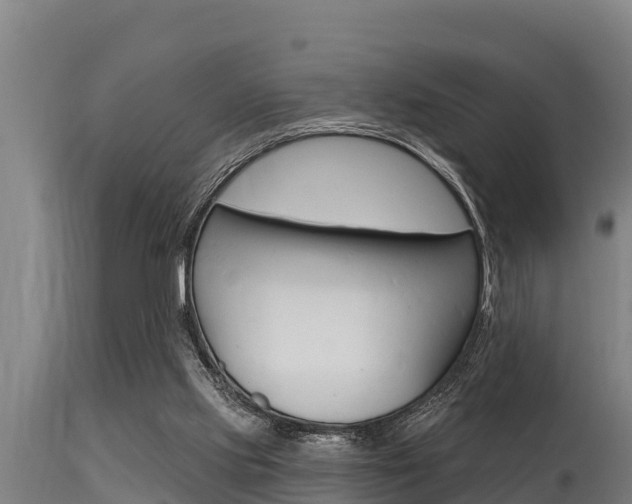 X0000115770061200911131030