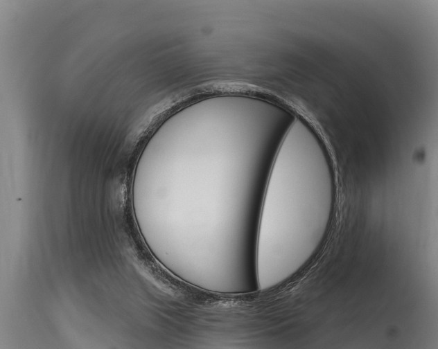 X0000115770063200911131030