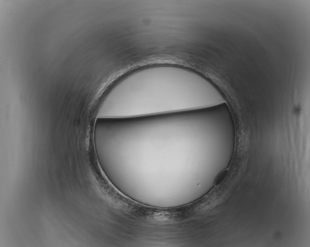 X0000115770064200911131030