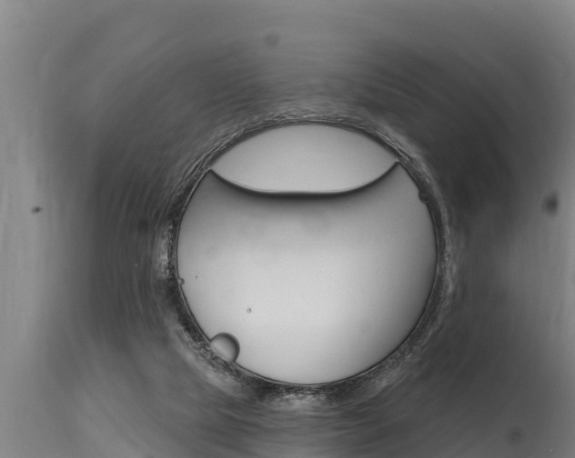 X0000115770065200911131030