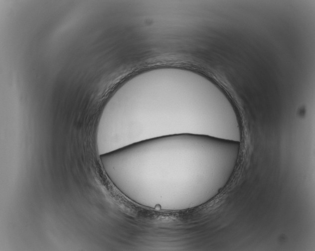 X0000115770066200911131030