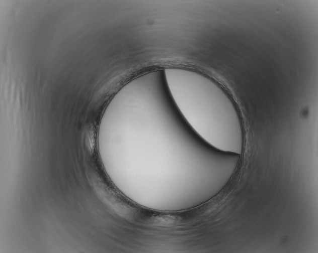 X0000115770069200911131030