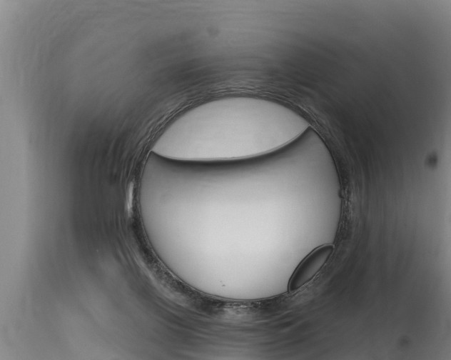 X0000115770070200911131030