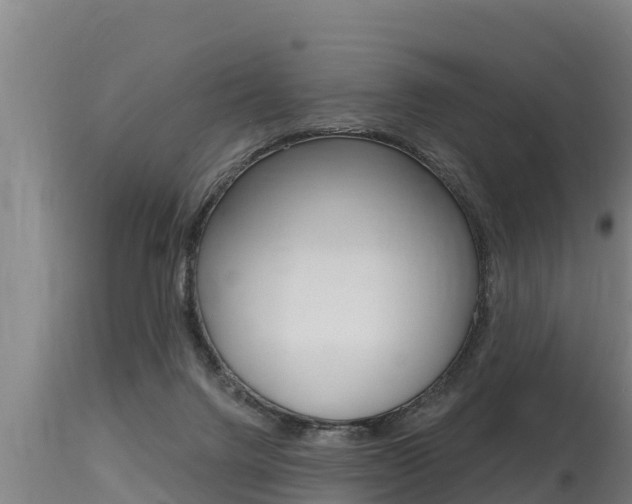 X0000115770072200911131030