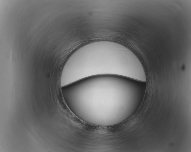 X0000115770076200911131030