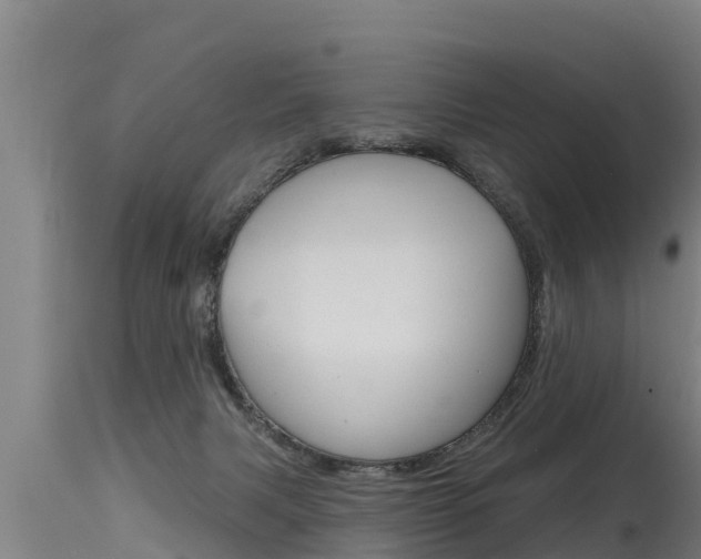 X0000115770079200911131030