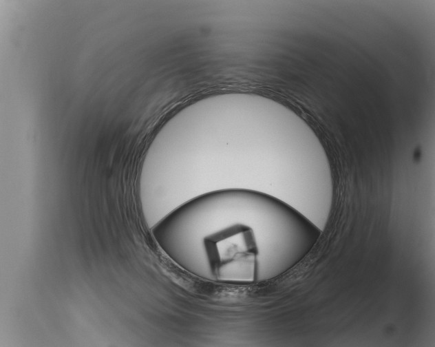 X0000115770084200911131030