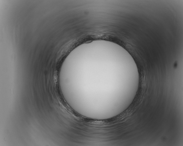 X0000115770085200911131030