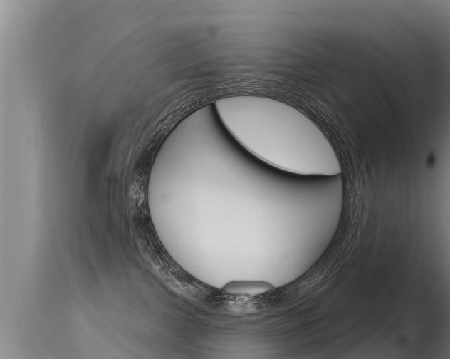 X0000115770091200911131031