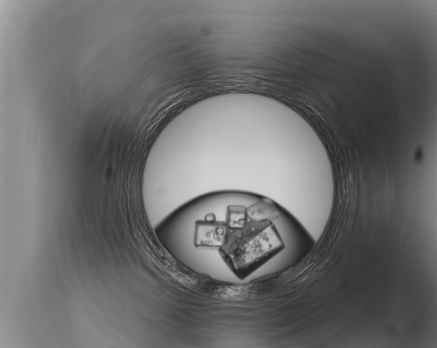 X0000115770092200911131031