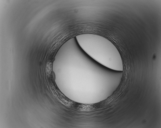 X0000115770093200911131031