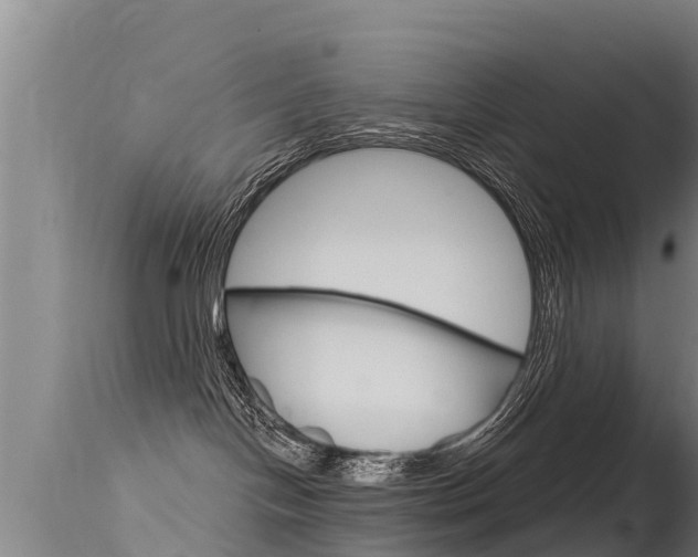 X0000115770094200911131031