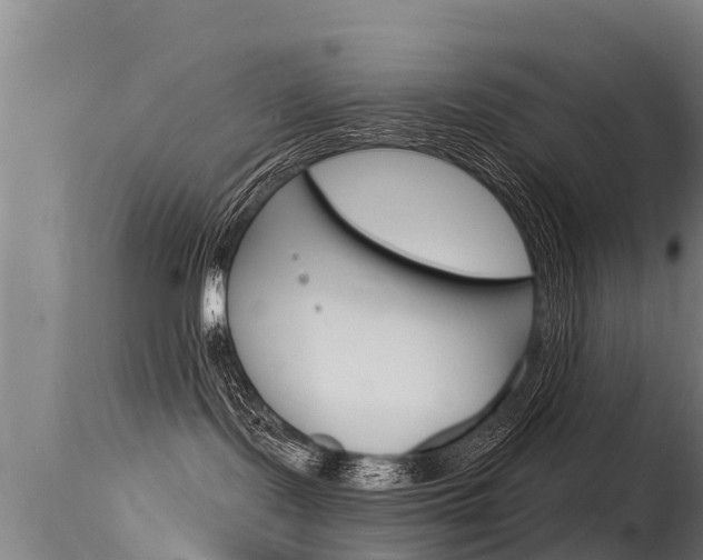 X0000115770095200911131031