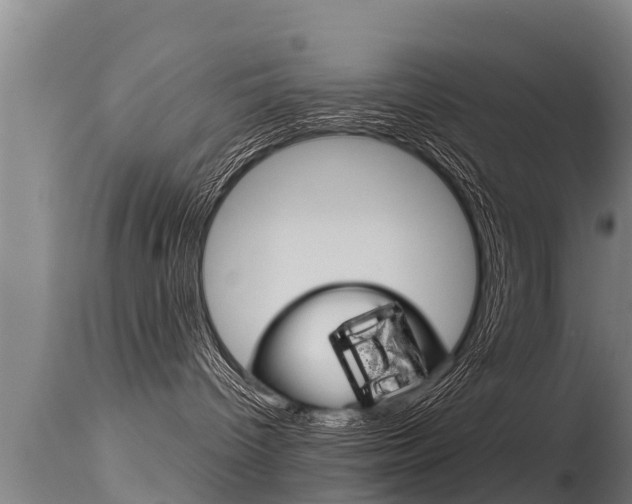 X0000115770096200911131031