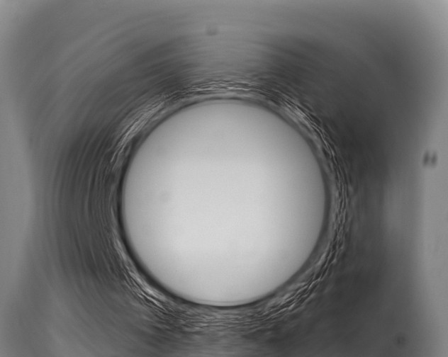 X0000115770097200911131030