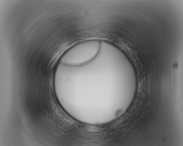 X0000115770098200911131030