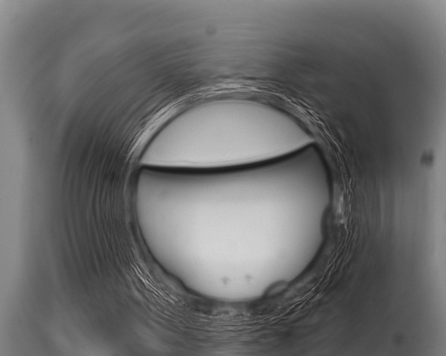 X0000115770099200911131030