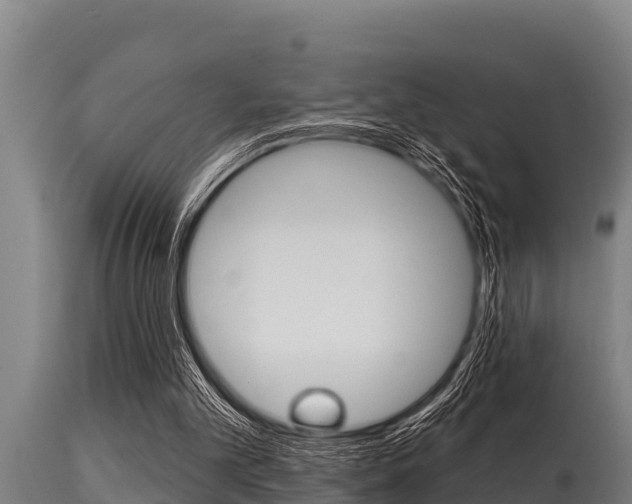 X0000115770101200911131030