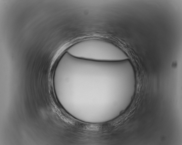 X0000115770102200911131030