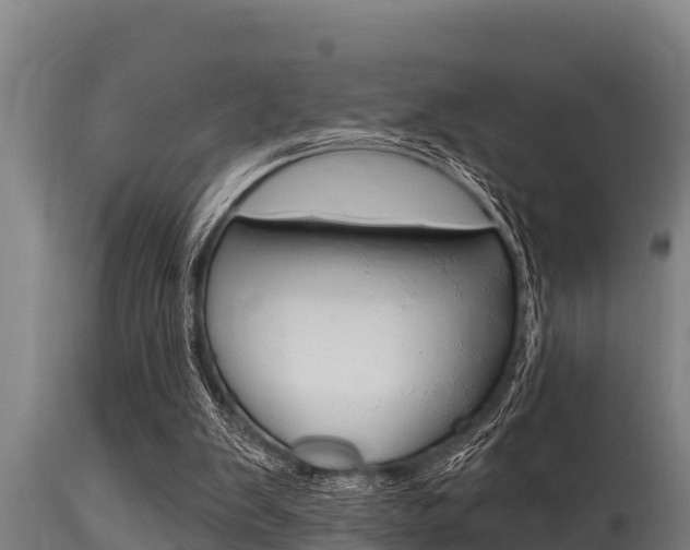 X0000115770103200911131030