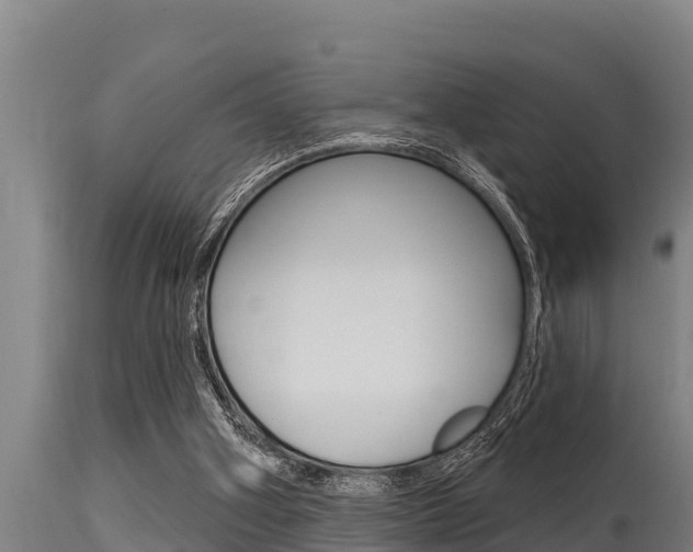 X0000115770106200911131030