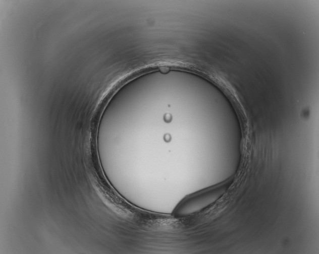 X0000115770108200911131030