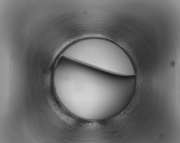 X0000115770112200911131030